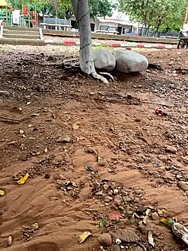 lunarous98 online show from January 13, 2026, 5:18 pm