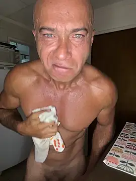 dogfrota online show from February 25, 2026, 2:37 pm