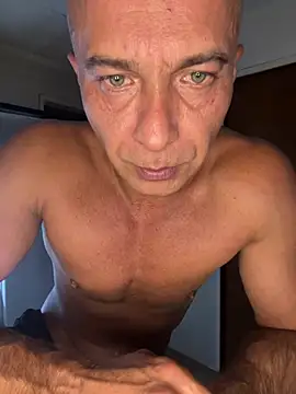 dogfrota online show from March 10, 2026, 4:06 am