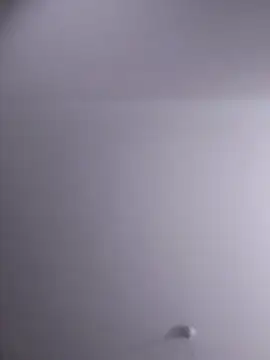 NickoHetero online show from February 10, 2026, 10:03 pm