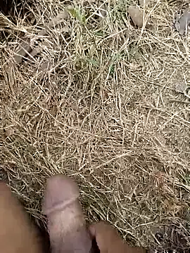 ankit barma009 online show from February 3, 2026, 9:03 am