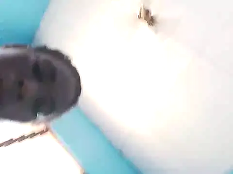 bigassx468 online show from March 5, 2026, 10:55 am