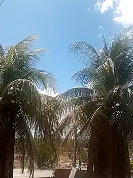  ---bucetuda    - online show from January 16, 2026, 4:22 pm