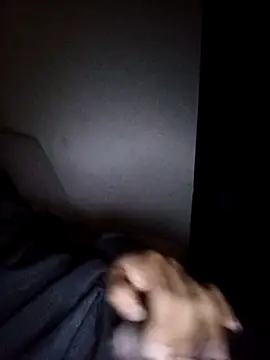 CorrectMusic2 online show from February 11, 2026, 9:03 am