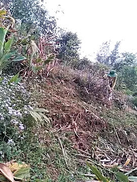 lia-coy online show from April 15, 2026, 12:50 am