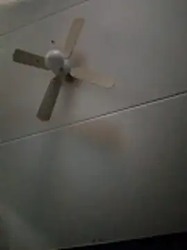 dewimp1 online show from February 3, 2026, 8:52 am