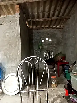 Nuna 689 online show from April 3, 2026, 3:37 am