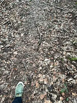 tony3729 online show from February 28, 2026, 11:22 am