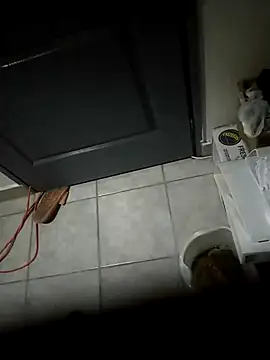 Punciprof online show from April 9, 2026, 9:31 pm