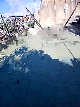 Luzz12 online show from March 17, 2026, 1:14 pm