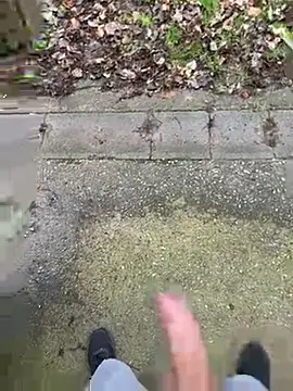 Snapshot of FrankdieSchwuchtel chatting on March 11, 2026, 3:29 pm FrankdieSchwuchtel online show from March 11, 2026, 3:29 pm