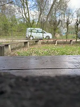 Snapshot of FrankdieSchwuchtel chatting on March 21, 2026, 12:10 pm FrankdieSchwuchtel online show from March 21, 2026, 12:10 pm