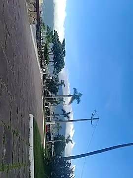 Snapshot of Gustavo52367 chatting on February 20, 2026, 7:36 pm Gustavo52367 online show from February 20, 2026, 7:36 pm