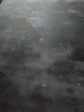 Sgs594802799 online show from March 23, 2026, 8:24 pm