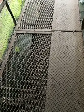 leoooooo88888 online show from February 25, 2026, 3:21 pm