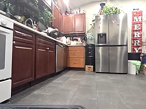 Snapshot of bischo666 chatting on February 24, 2026, 2:20 am bischo666 online show from February 24, 2026, 2:20 am