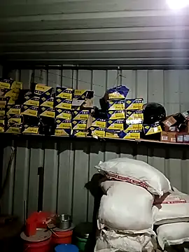 Krishna-10 online show from February 2, 2026, 1:54 pm