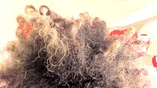 Snapshot of Brit_weston chatting on February 11, 2026, 9:42 pm Brit weston online show from February 11, 2026, 9:42 pm