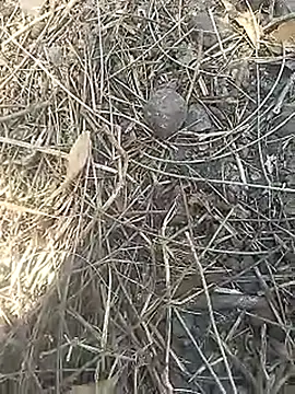 Cute Boy 4 online show from April 2, 2026, 7:28 am