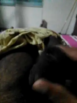 Snapshot of FlatBlackboard chatting on February 22, 2026, 5:44 pm FlatBlackboard online show from February 22, 2026, 5:44 pm