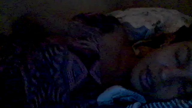 lorraine2036 online show from February 17, 2026, 2:57 pm