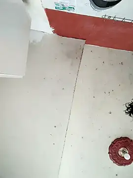 cynliu online show from April 14, 2026, 2:23 pm