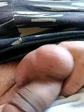 Snapshot of baipal74 chatting on March 1, 2026, 10:06 am baipal74 online show from March 1, 2026, 10:06 am