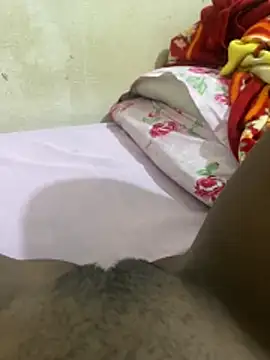 pretha-071 online show from March 25, 2026, 2:06 am