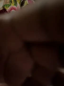 Pritu675 online show from February 15, 2026, 3:42 pm