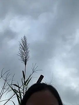 Caramel sexy online show from February 7, 2026, 7:34 am