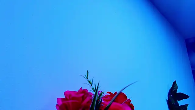 lil miia online show from June 5, 2026, 7:08 pm