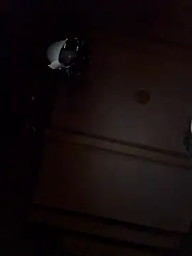 Dutch20Cock online show from March 12, 2026, 8:15 pm