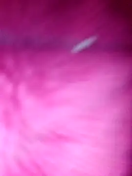 Hellentrans24 online show from March 25, 2026, 8:53 am