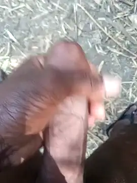 kalai 32 online show from February 17, 2026, 6:10 am