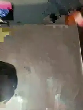 Snapshot of Soxphiixaa chatting on March 3, 2026, 4:29 am Soxphiixaa online show from March 3, 2026, 4:29 am