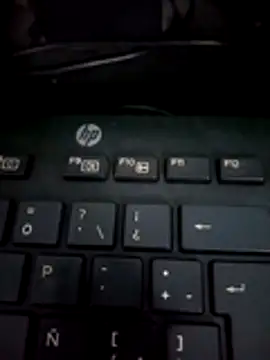 Snapshot of dallm5 chatting on February 2, 2026, 2:38 pm dallm5 online show from February 2, 2026, 2:38 pm