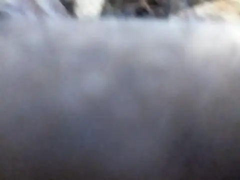 Joecool1009 online show from February 3, 2026, 12:31 am