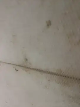 Miu Xinh online show from April 11, 2026, 5:06 pm