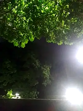 Andres sant  online show from April 18, 2026, 6:17 am