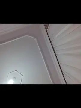 boraaily online show from February 19, 2026, 10:39 pm