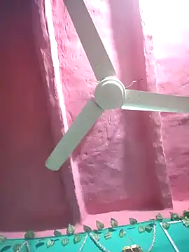 pakhi126 online show from February 17, 2026, 9:43 pm