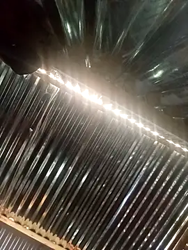 BigdickIsaac0987 online show from February 10, 2026, 7:56 am