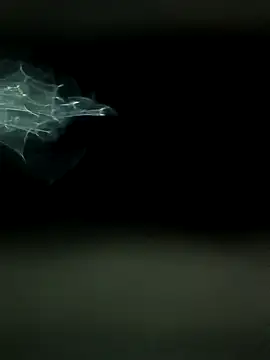 Snapshot of maharashtra_boy_mh19 chatting on March 18, 2026, 8:45 pm maharashtra boy mh19 online show from March 18, 2026, 8:45 pm