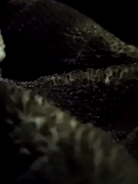 aryanvfit online show from February 9, 2026, 6:01 pm