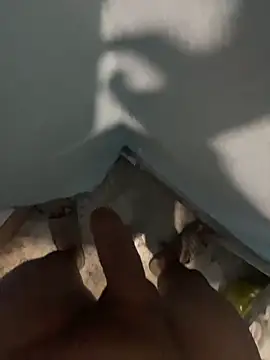 tardecaliente online show from February 26, 2026, 7:07 am