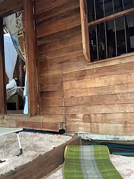 fairy bell online show from March 5, 2026, 5:36 am