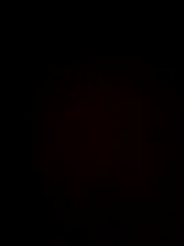 Snapshot of plump-bums chatting on February 16, 2026, 12:56 pm plump-bums online show from February 16, 2026, 12:56 pm