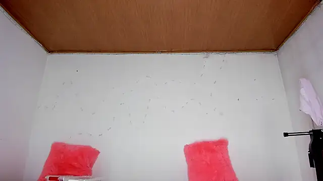 Snapshot of karol_kane chatting on February 13, 2026, 3:19 pm karol kane online show from February 13, 2026, 3:19 pm