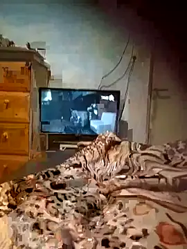 Morocha exotica00 online show from March 21, 2026, 5:56 am