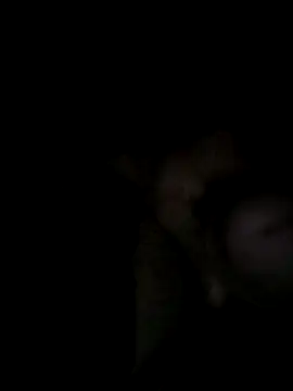 Egypt1000 online show from March 27, 2026, 3:34 am